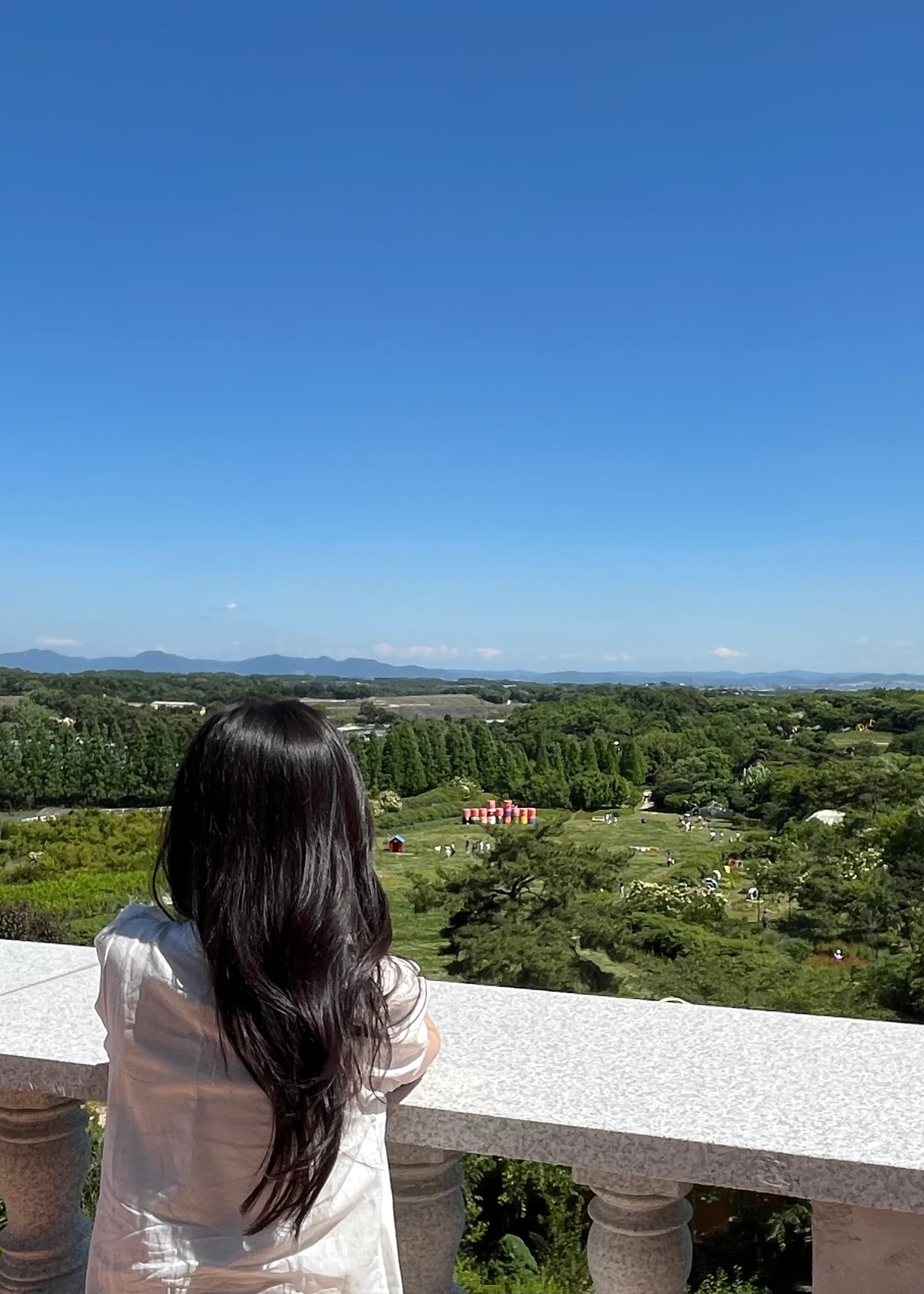 초록빛 휴식이 머무는 그림 - 힐링 일러스트 작가, 조은주(Greeny Jonju)를 만나다